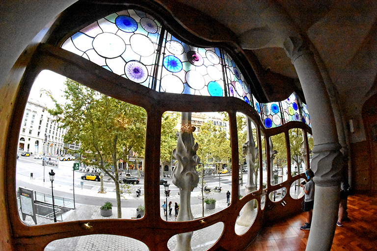 Pis principal o planta noble de la Casa Batlló ***