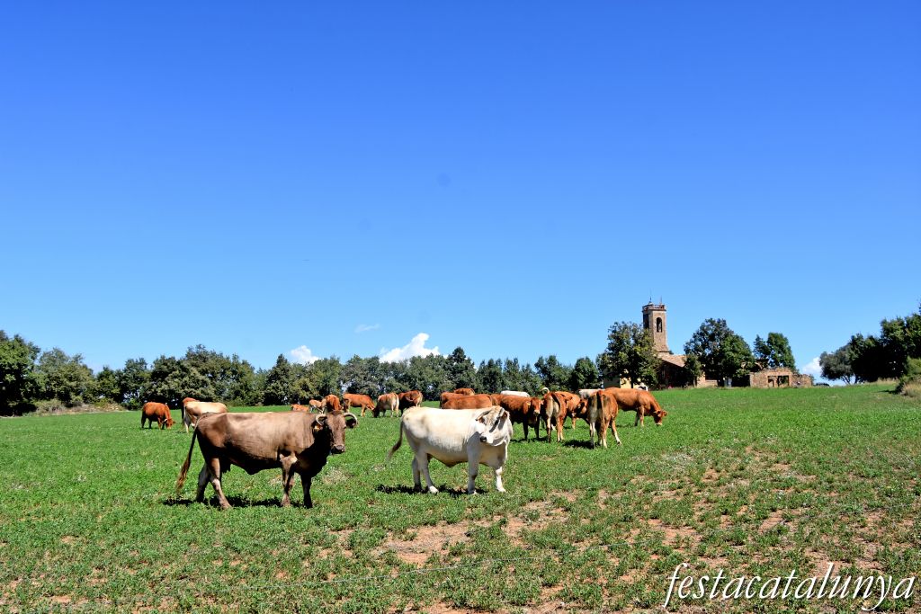 Santa Eulàlia de Riuprimer - Ermita de Sant Sebastià de Vic
