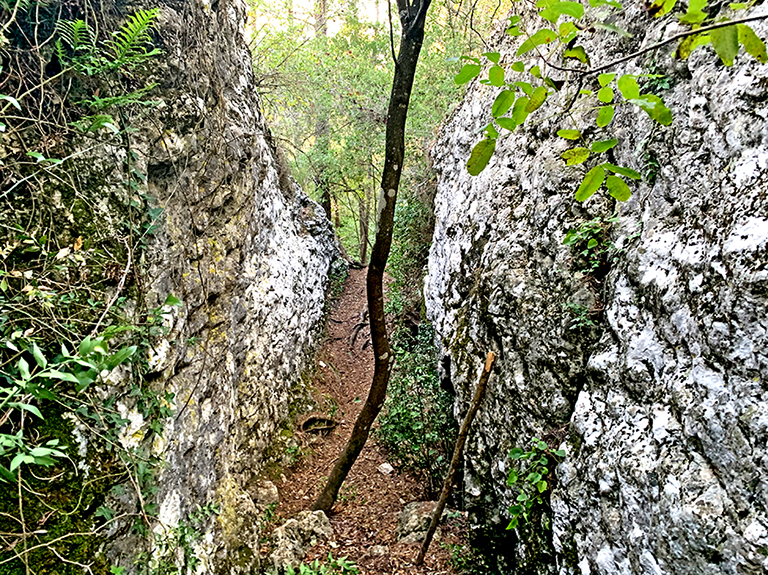Els Esgavellats de Vilanova del Camí ***