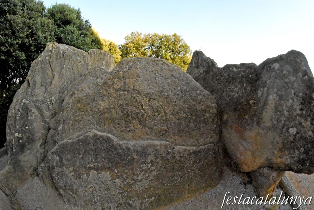 Folgueroles - Dolmen de Puigseslloses
