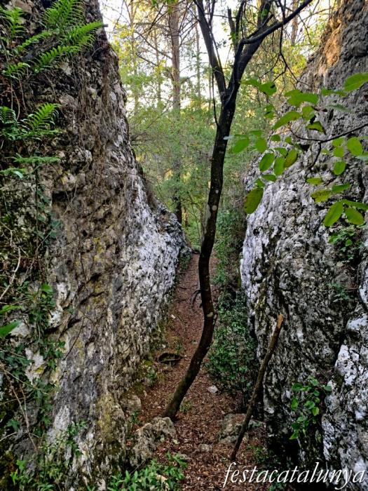Vilanova del Camí - Els Esgavellats
