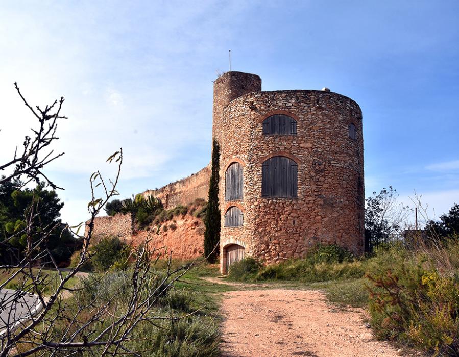 Castell de Vila-rodona ***