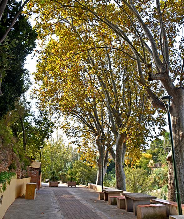 Fonts Fresques i el safareig del carrer de la Font de Vila-rodona