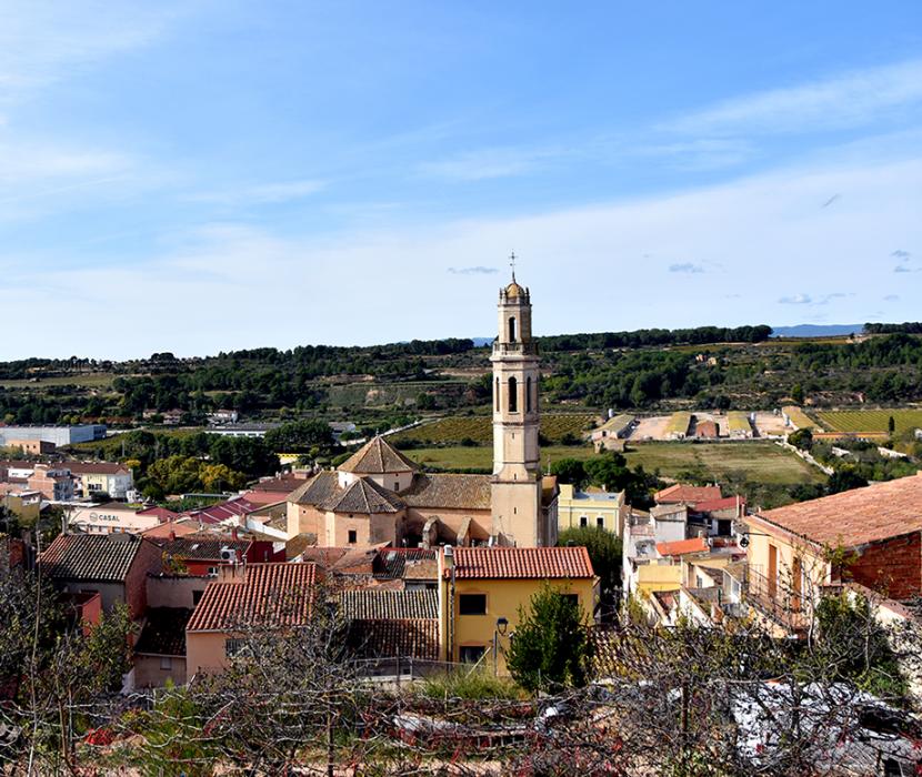 Vistes panoràmiques des del castell de Vila-rodona ***