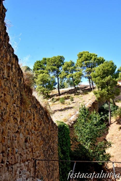 Balaguer - Portal del Torrent 