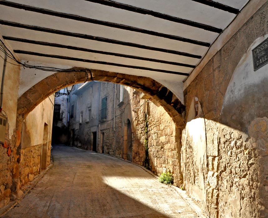 Nucli històric de l'Albi