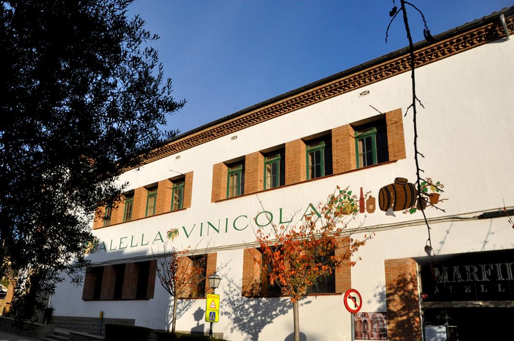 Celler Cooperatiu Alella Vinícola