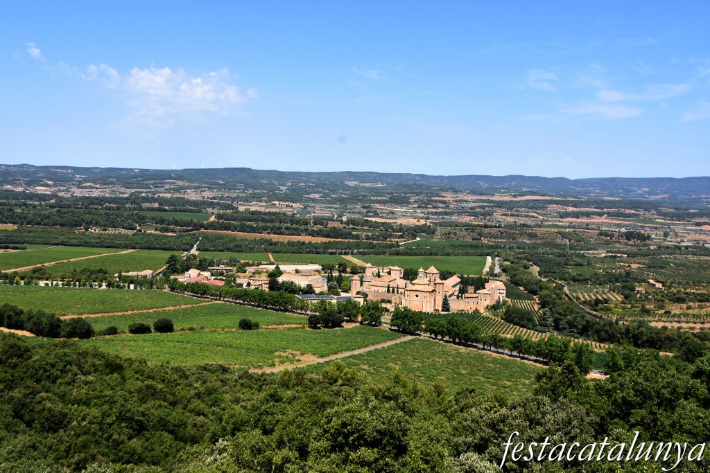 Vimbodí i Poblet - Mirador del Tossal de la Creu 
