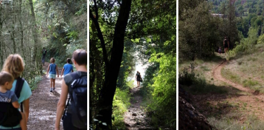 Ruta pels Volcans d'Olot: del Montsacopa al de Montolivet