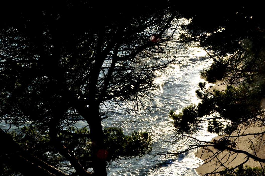 Platja de les Roques, Platja Gran i Platja Garbí