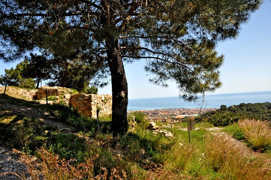 Poblat ibèric de la Cadira del Bisbe de Premià de Dalt