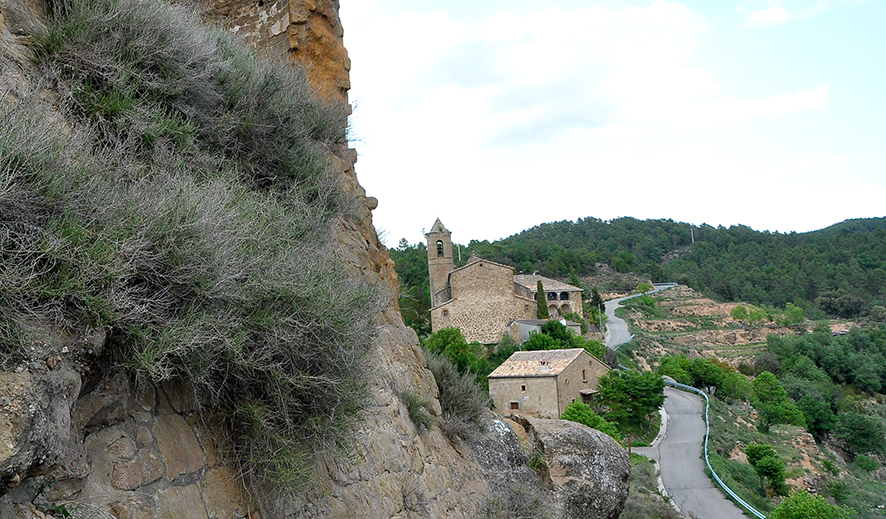 Madrona a Pinell de Solsonès