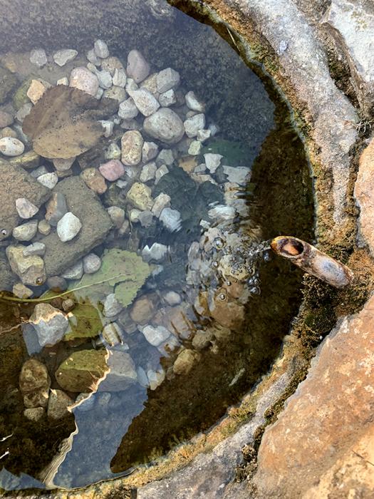 Font de Cabarrà de Cabra del Camp