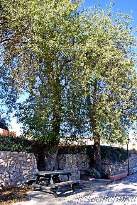 Cabra del Camp - Font del Sant Crist 