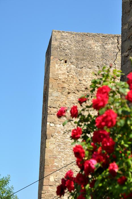 Ardèvol a Pinós ***