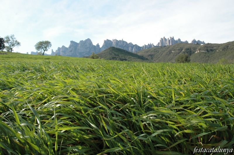 Marganell - Vistes de Montserrat