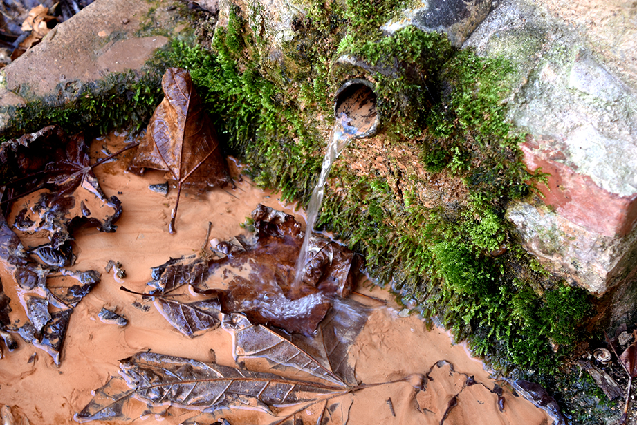 Font del Gall de Cabra del Camp