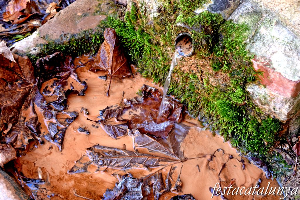 Cabra del Camp - Font del Gall