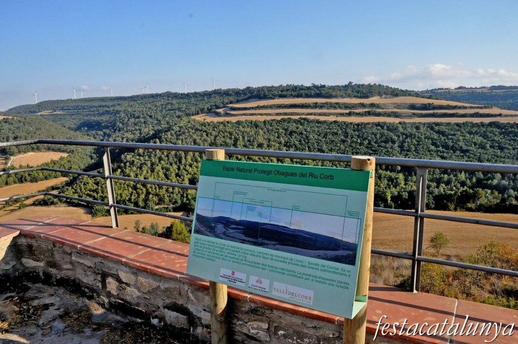 Vistes panoràmiques des de l'Albió