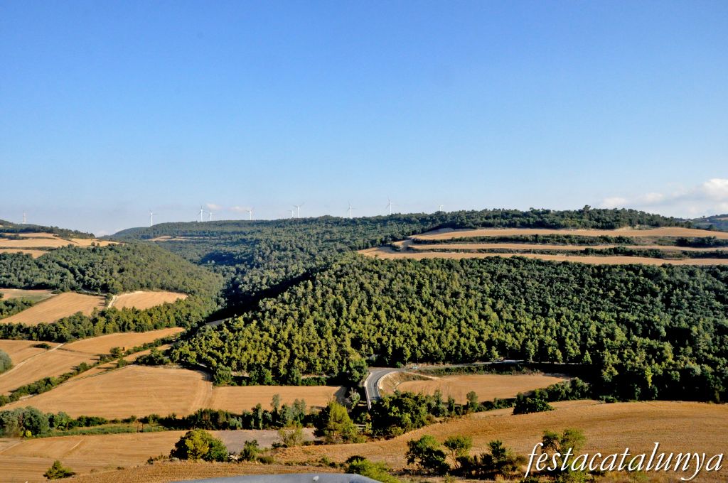 Llorac - Vistes panoràmiques des de l'Albió