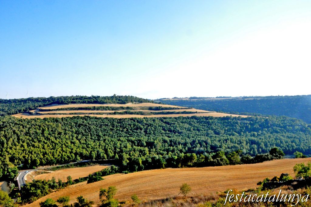 Llorac - Vistes panoràmiques des de l'Albió