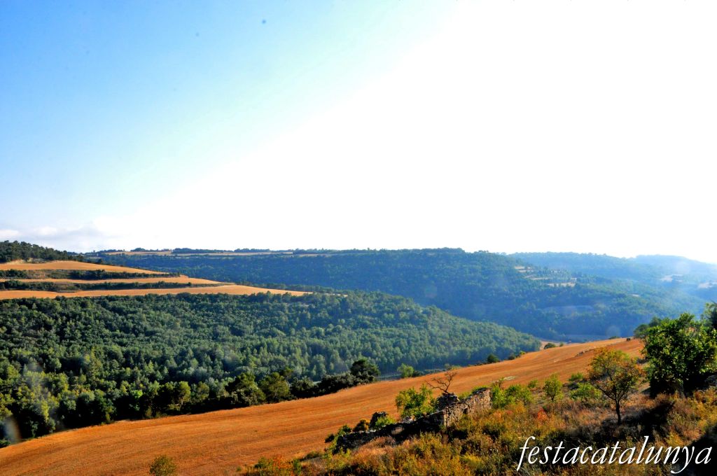 Llorac - Vistes panoràmiques des de l'Albió
