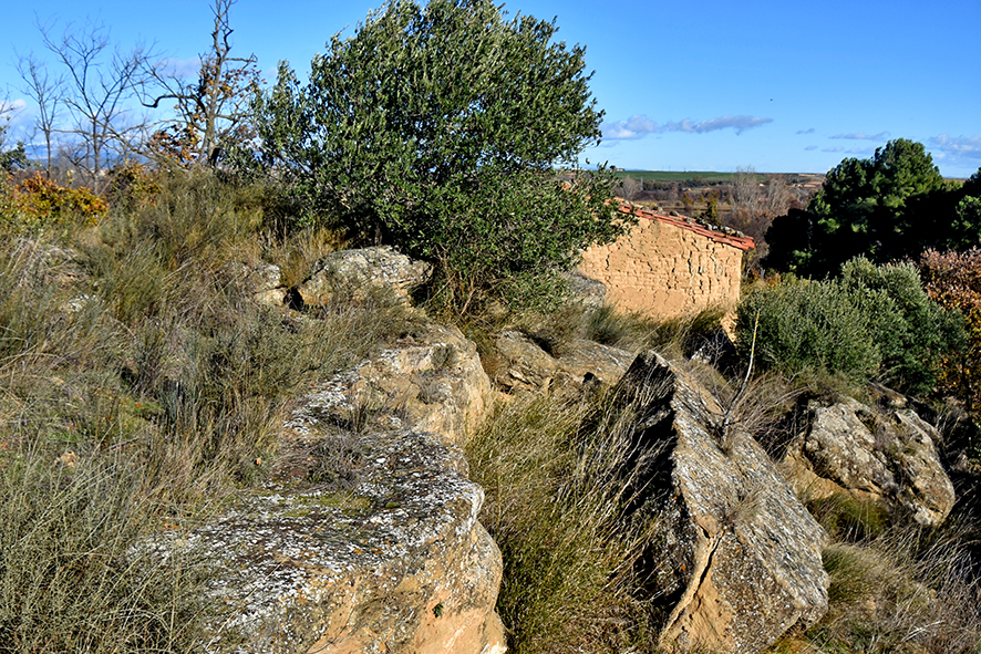 Necròpolis de les roques del Ço del Roig d'Alguaire
