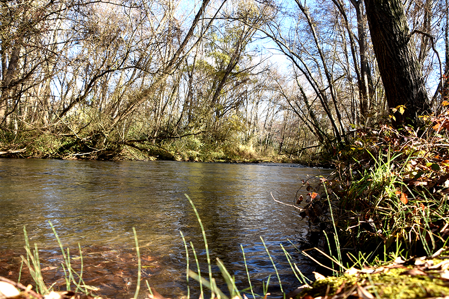 Parc del riu Noguera Ribagorçana a Alguaire