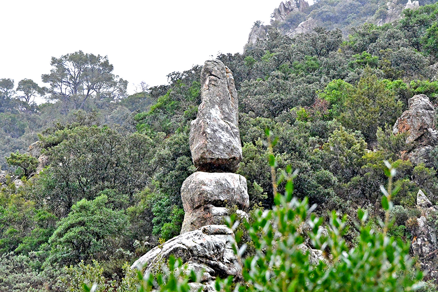 Vall de Castellfollit a Vimbodí i Poblet ***