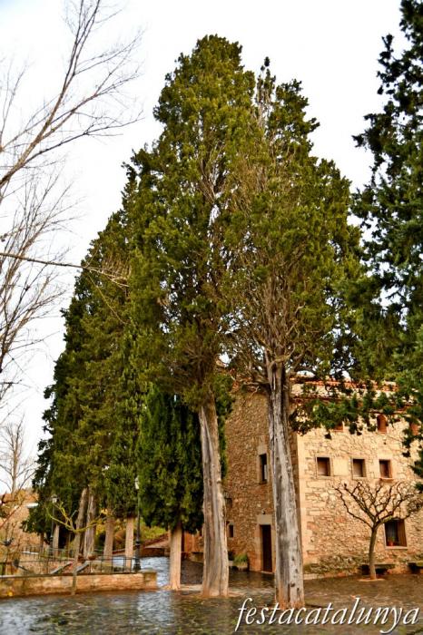 Vimbodí i Poblet - Xiprers de Torrents 