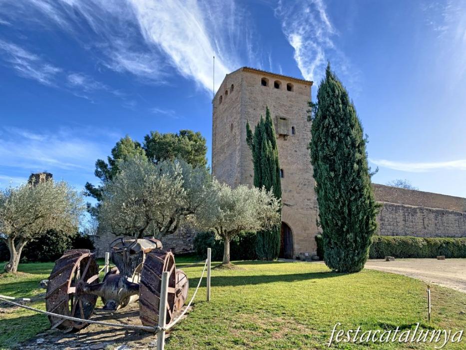 Vimbodí i Poblet - Castell de Milmanda