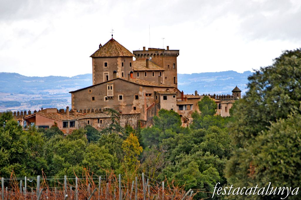 Vimbodí i Poblet - Castell de Riudabella