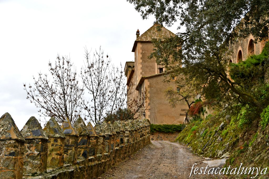 Vimbodí i Poblet - Castell de Riudabella