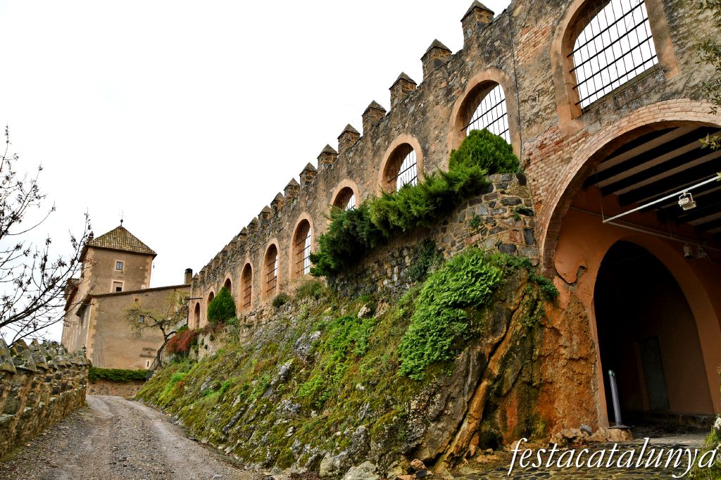 Vimbodí i Poblet - Castell de Riudabella