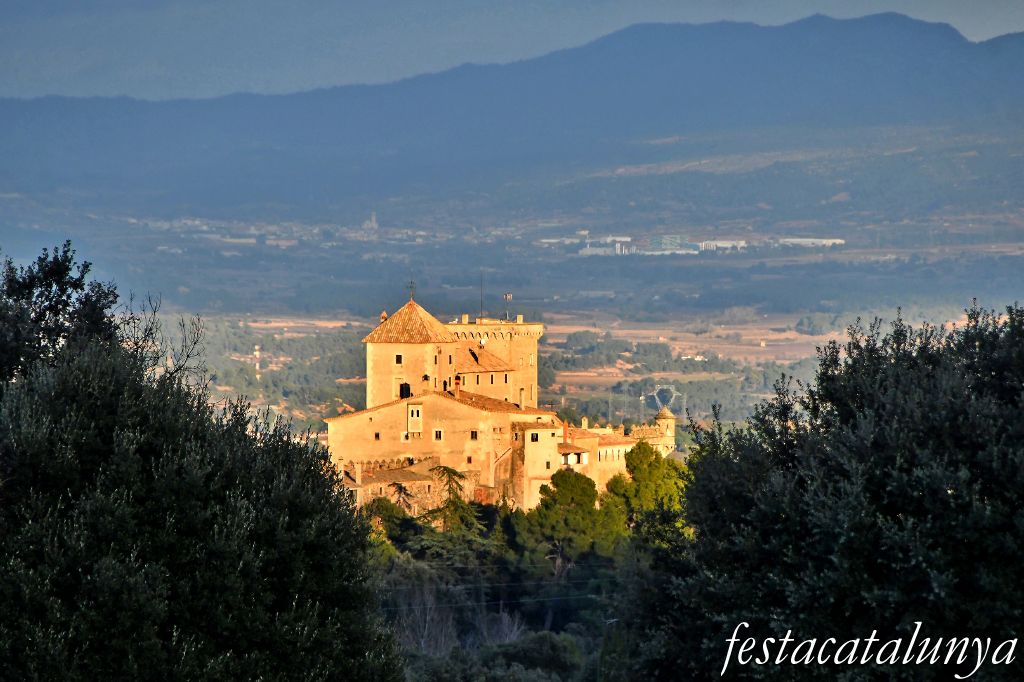 Vimbodí i Poblet - Castell de Riudabella 