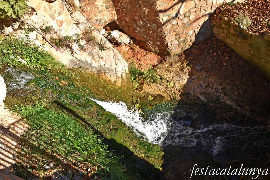 Vimbodí i Poblet - Fonts i safareigs del Gorg 