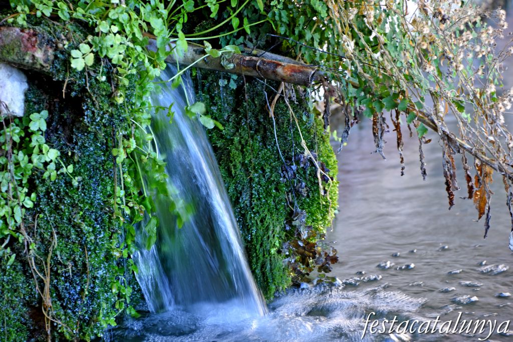 Vimbodí i Poblet - Fonts i safareigs del Gorg