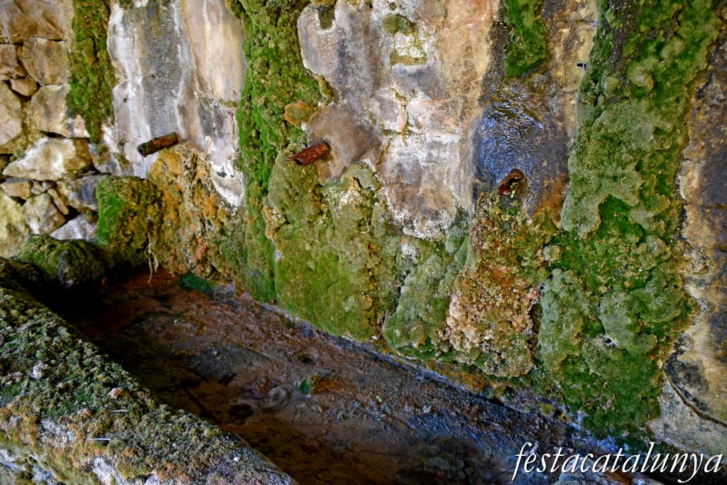 Vimbodí i Poblet - Fonts i safareigs del Gorg 