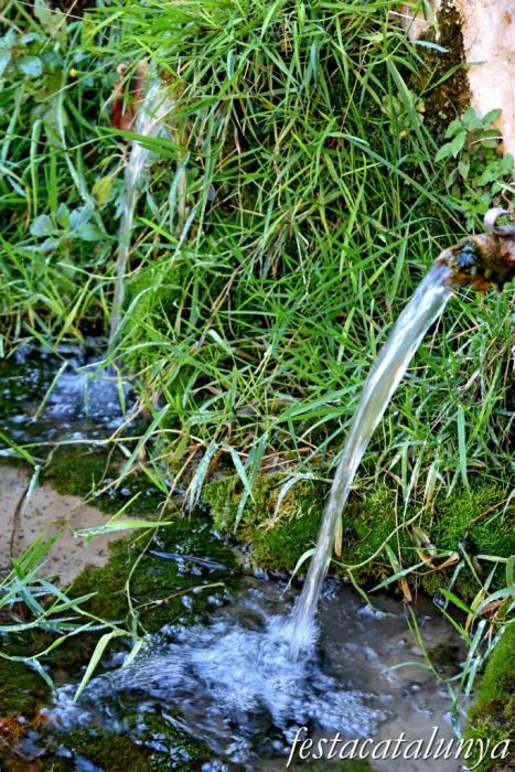 Vimbodí i Poblet - Fonts i safareigs del Gorg