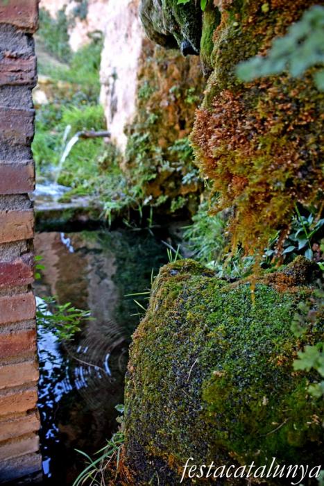 Vimbodí i Poblet - Fonts i safareigs del Gorg 