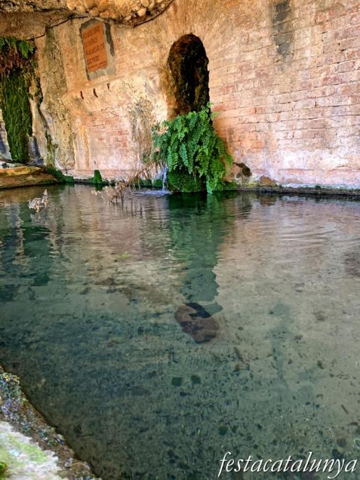 Vimbodí i Poblet - Fonts i safareigs del Gorg 