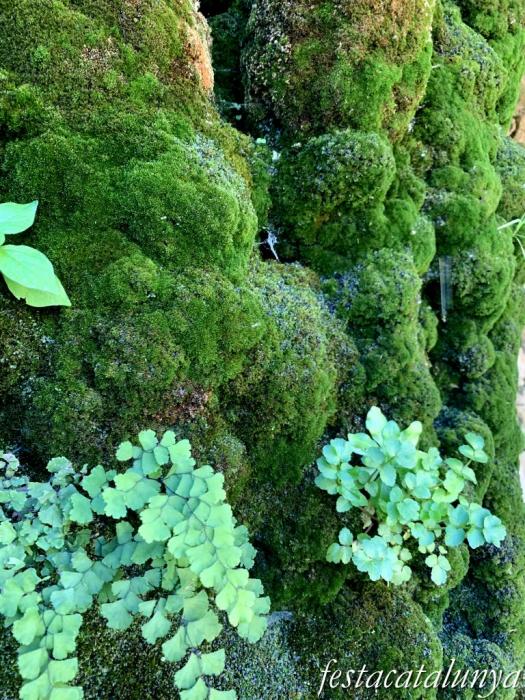 Vimbodí i Poblet - Fonts i safareigs del Gorg