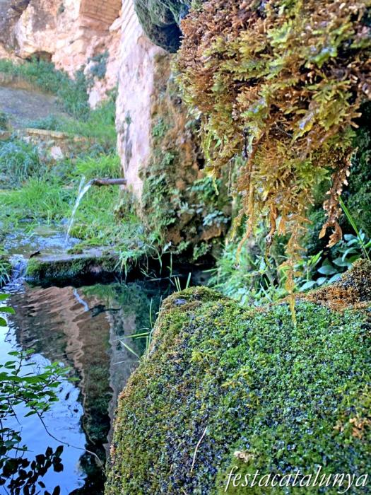 Vimbodí i Poblet - Fonts i safareigs del Gorg