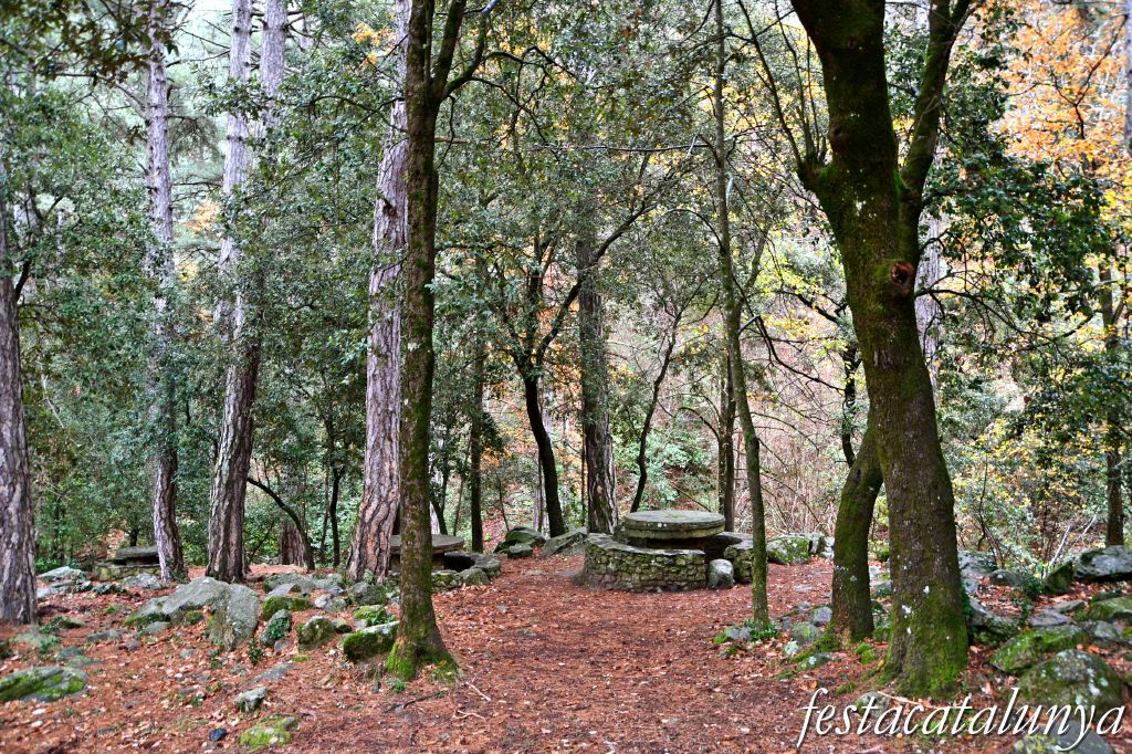 Vimbodí i Poblet - Vall de Castellfollit - Àrea de lleure de la Casa del Forestal