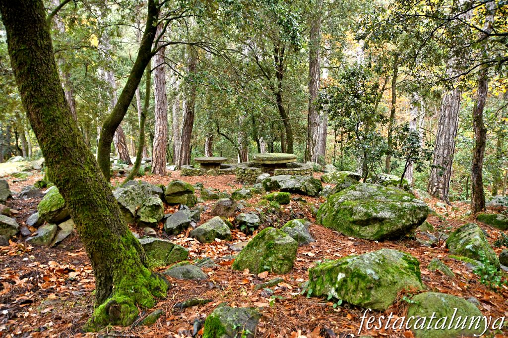 Vimbodí i Poblet - Vall de Castellfollit - Àrea de lleure de la Casa del Forestal