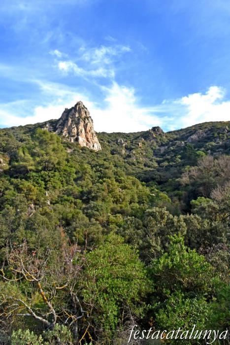 Vimbodí i Poblet - Vall de Castellfollit 