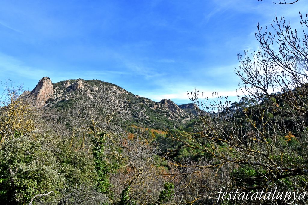 Vimbodí i Poblet - Vall de Castellfollit 