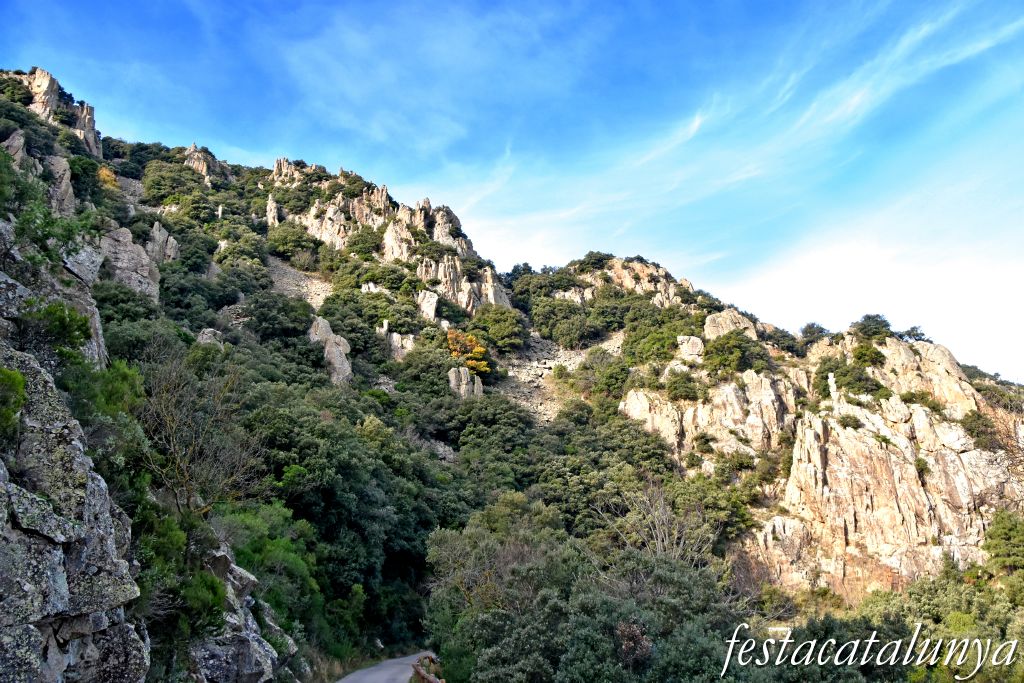 Vimbodí i Poblet - Vall de Castellfollit