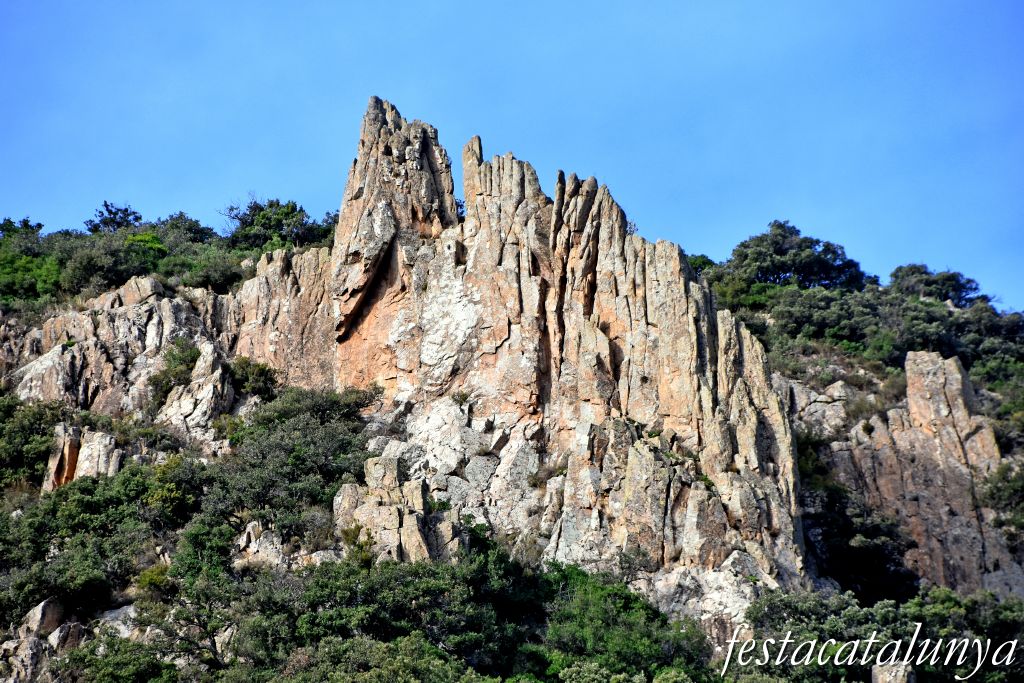 Vimbodí i Poblet - Vall de Castellfollit  