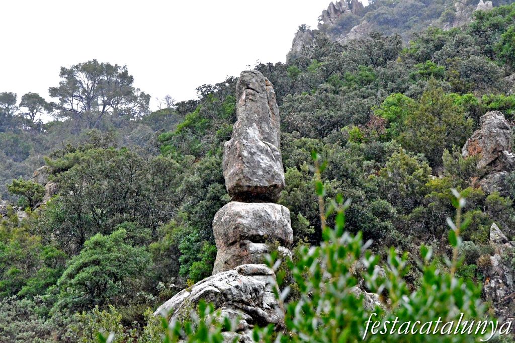 Vimbodí i Poblet - Vall de Castellfollit  